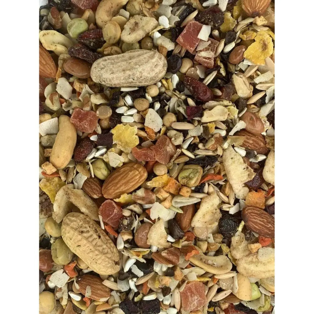 Goldenfeast Premium Paradise Treat Mix for Birds - A Global Delight of Dried Fruits, Nuts, Seeds, and Grains