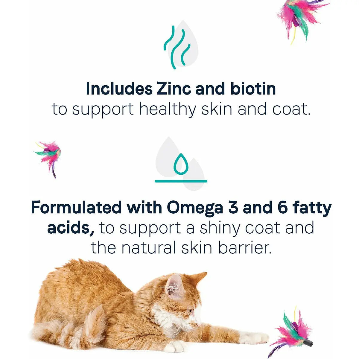 CANIDAE Premium Dry Cat Food Formula with Real Salmon for Optimal Skin & Coat Health