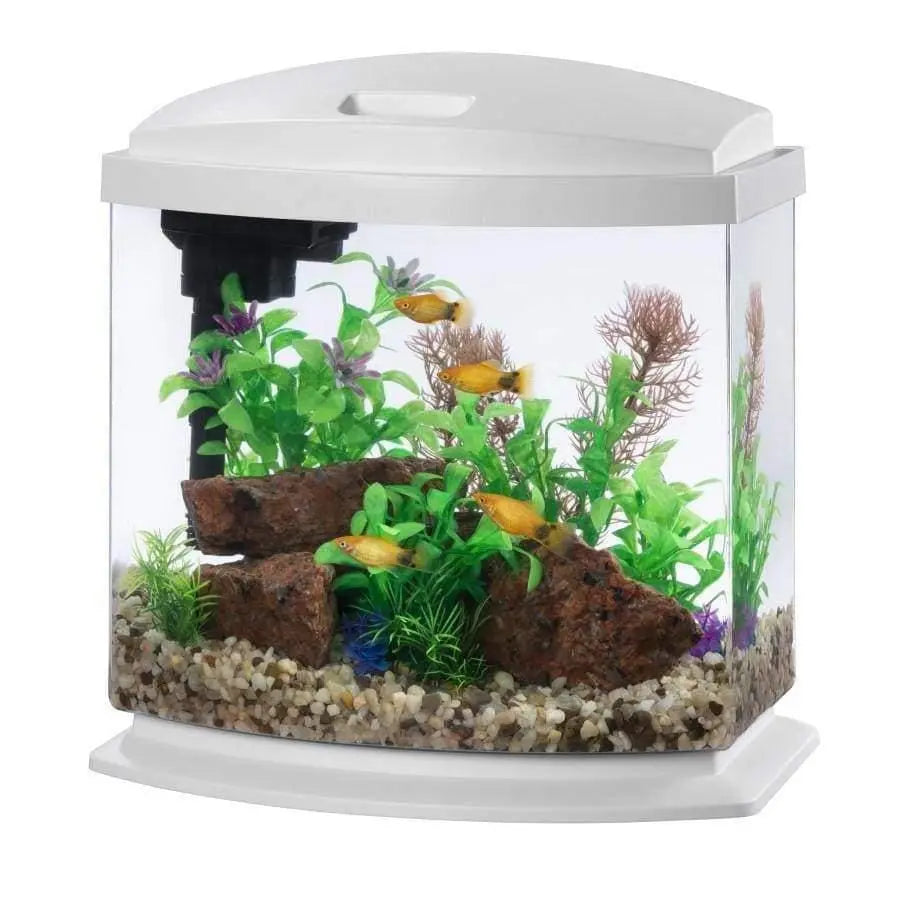 Aqueon Brand LED MiniBow™ Desktop Fish Aquarium Kit Featuring SmartClean™ Advanced Water - Changing Technology