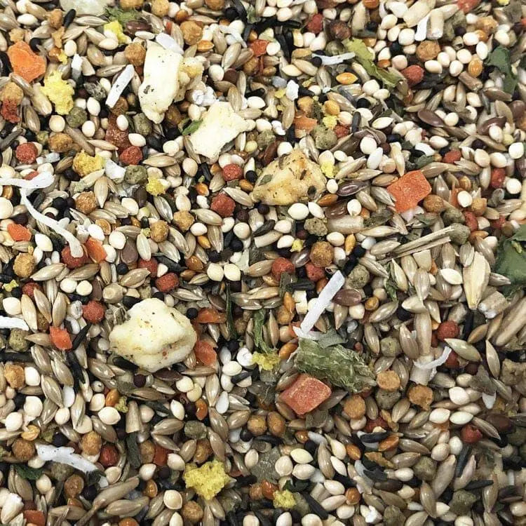 High - quality Higgins Sunburst Gourmet Bird Food for Canaries and Finches