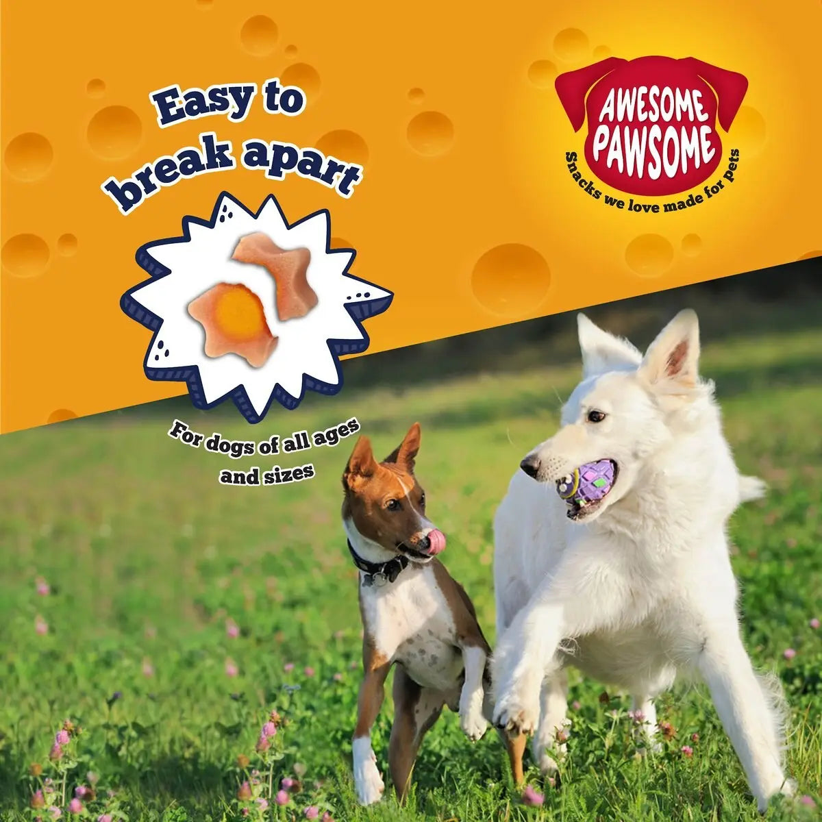 Delicious and Nutritious Bacon - flavored Dog Treats (3oz) - Awesome Pawsome Baconmania
