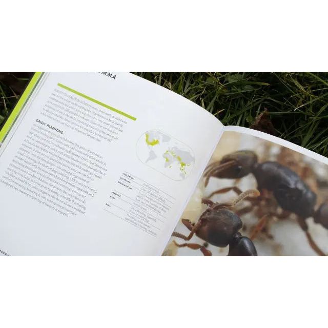 Ants: An In - Depth Visual Guide by Heather Campbell and Benjamin Blanchard