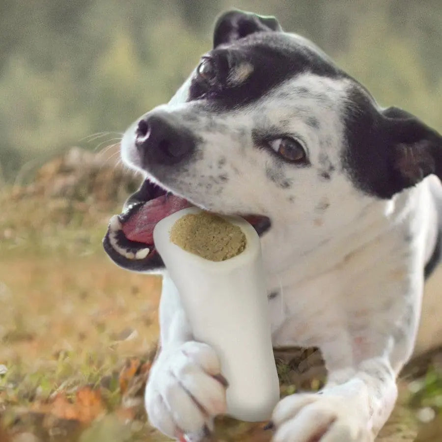 High - Quality Cadet Beef - Stuffed Shin Bone Chew Toy for Canine Companions