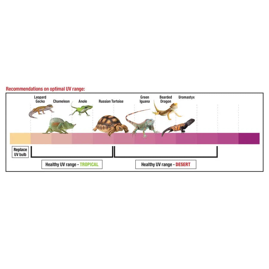 Zilla Decorative Crocodile Skull Rapid Sense Reptile Supply for Optimal UV Detection