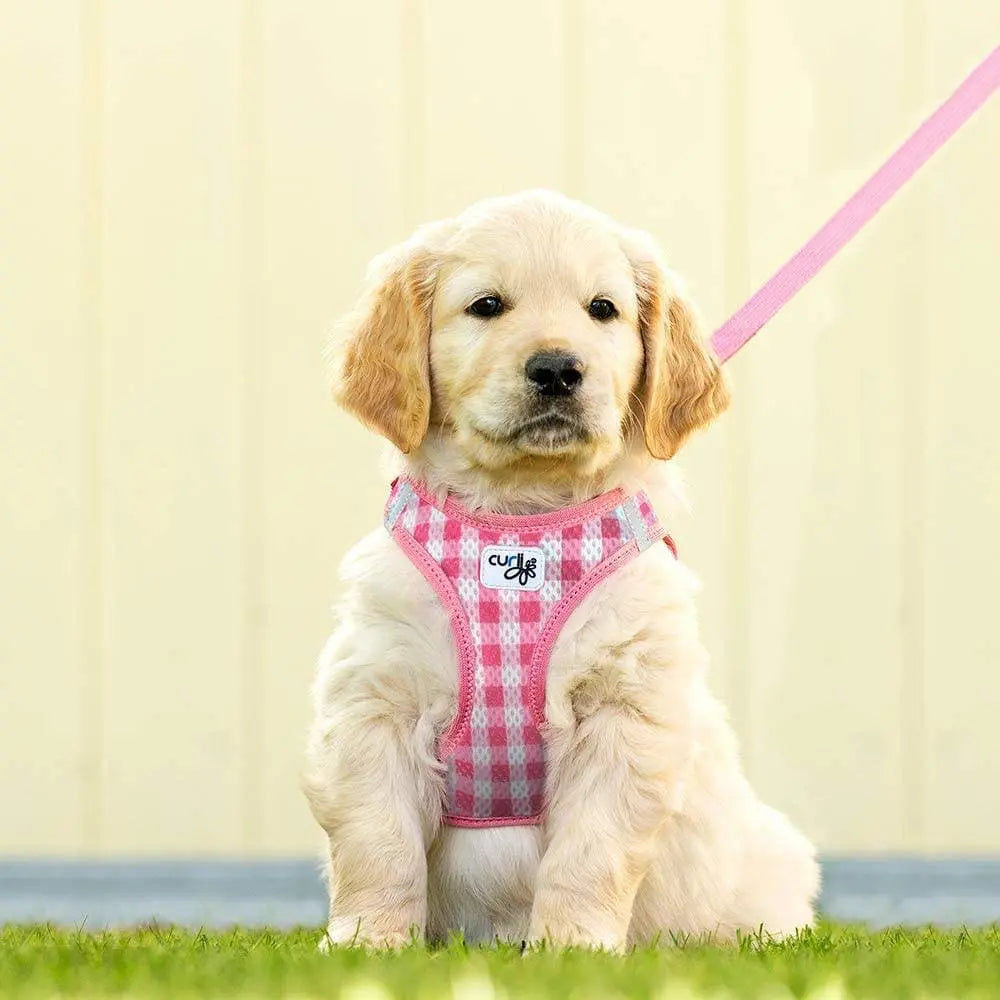 Lightweight Air-Mesh Vest Harness with Matching Leash for Small Puppies