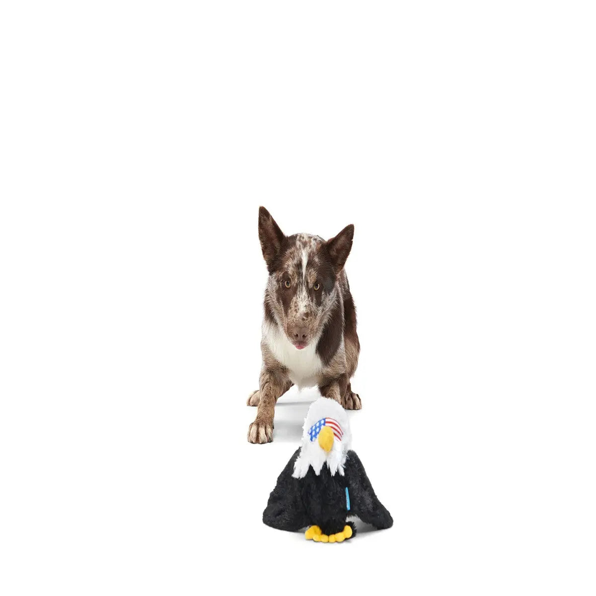 BARK Bold Eagle American Independence Day Fourth Of July Plush Dog Toy for Patriotic Pooches