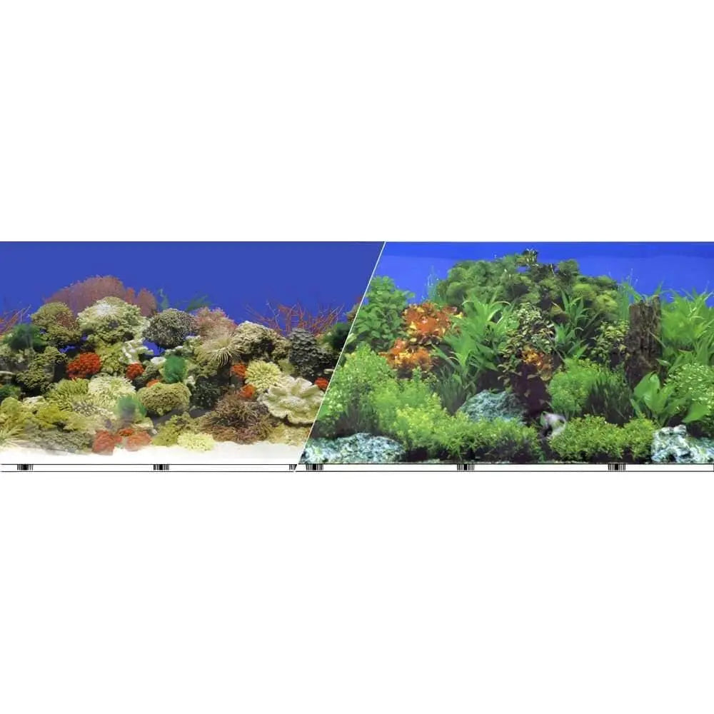 High - quality Double - sided Freshwater Coral Reef Background