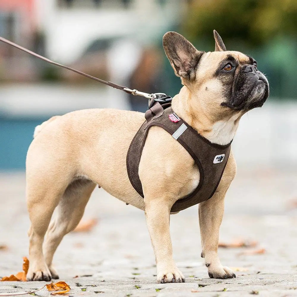 Lightweight Step-in Dog Harness with Air-Mesh Lining and Resistant Cord for Small Canines
