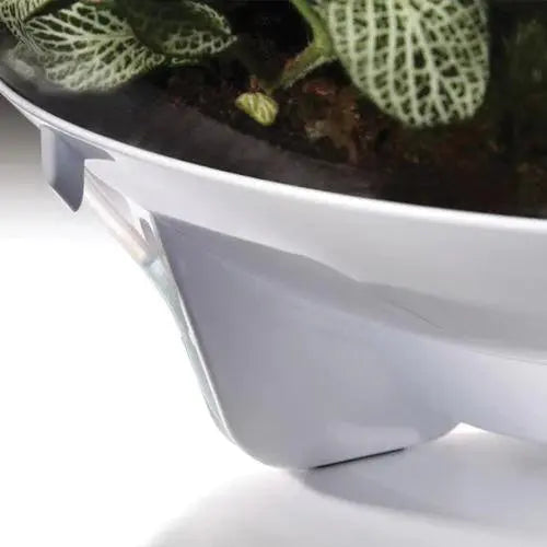 BiOrb AIR 60 Modern Glossy Terrarium for Tropical Plants and Creatures