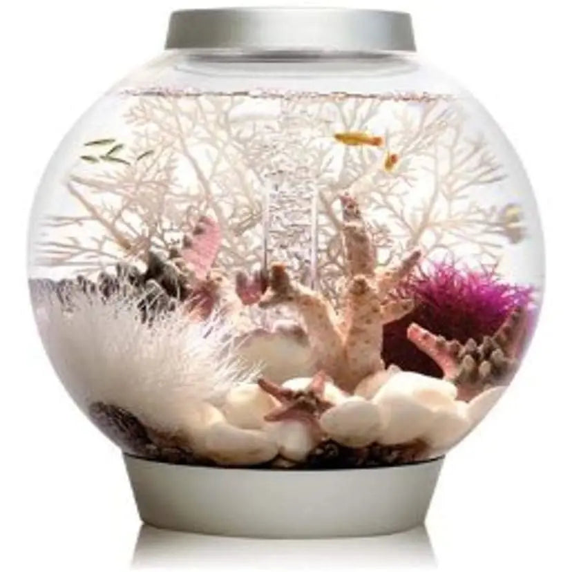 biOrb Classic 15 Four-Gallon Acrylic Aquarium with Standard White LED Lighting