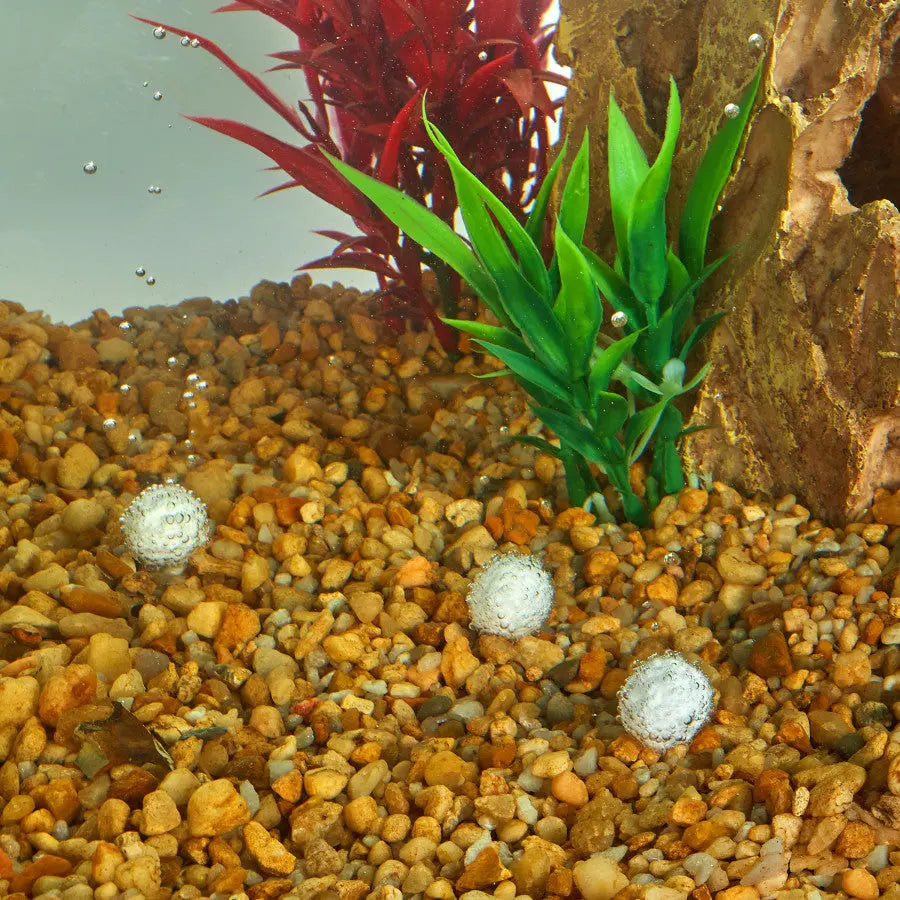 Aqueon AquaPacs: Efficient Ammonia Reducer for Aquarium Water