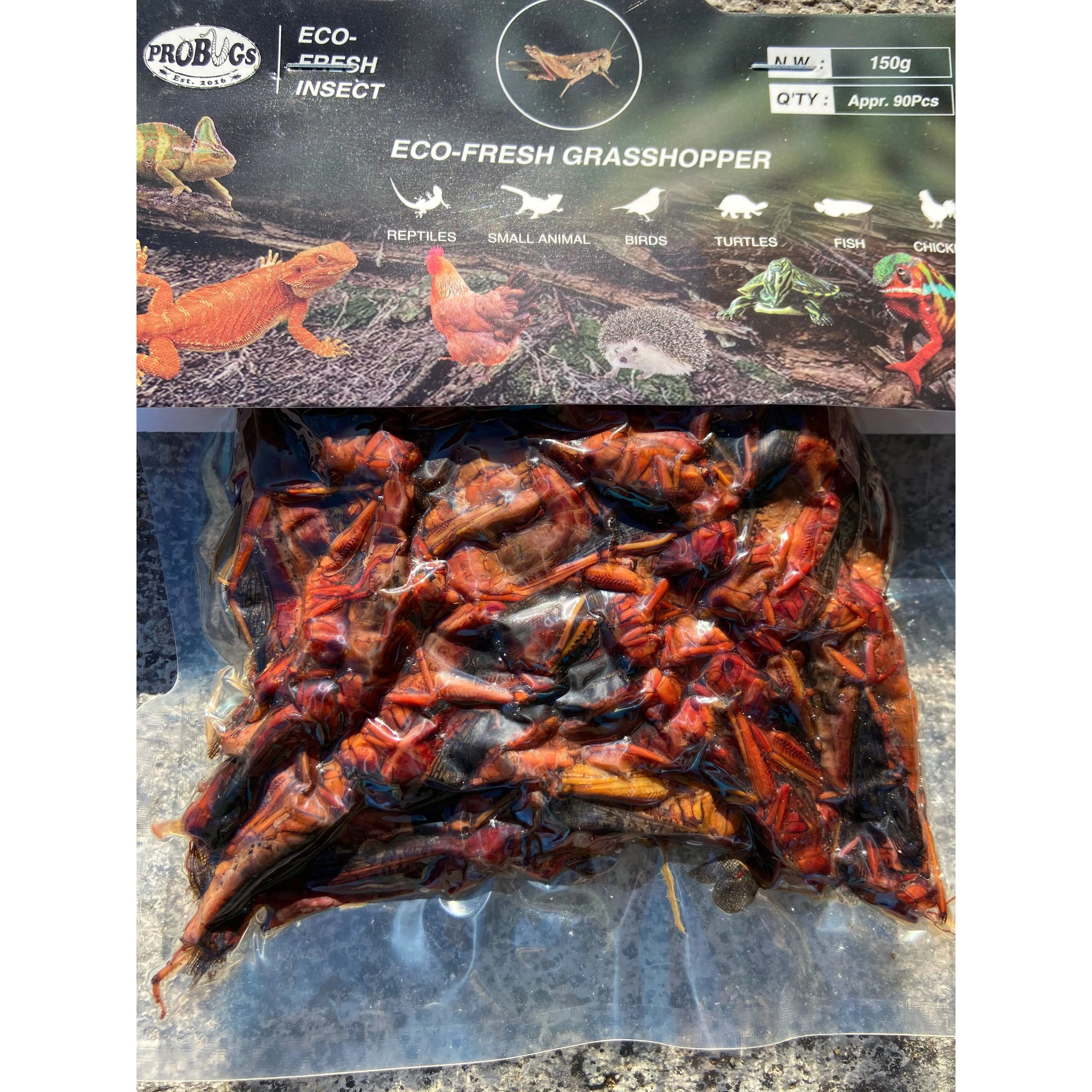 Eco-Fresh Grasshopper Pro Bugs: Ideal Food for Larger Cichlids, Amphibians, Hedgehogs & Parrots