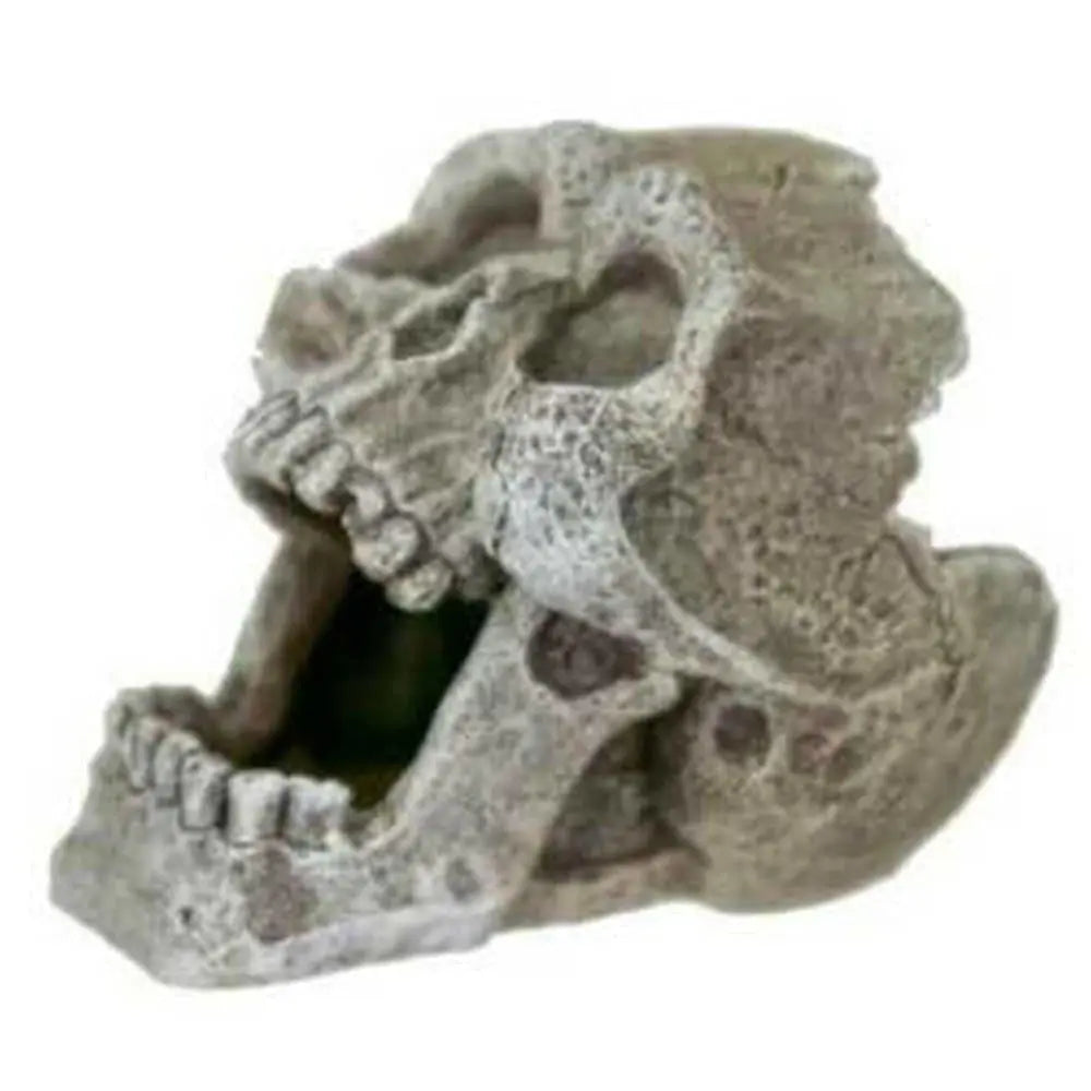 Blue Ribbon Exotic Aquarium Decorations - Mini Cracked Human Skull for Freshwater and Saltwater Tanks