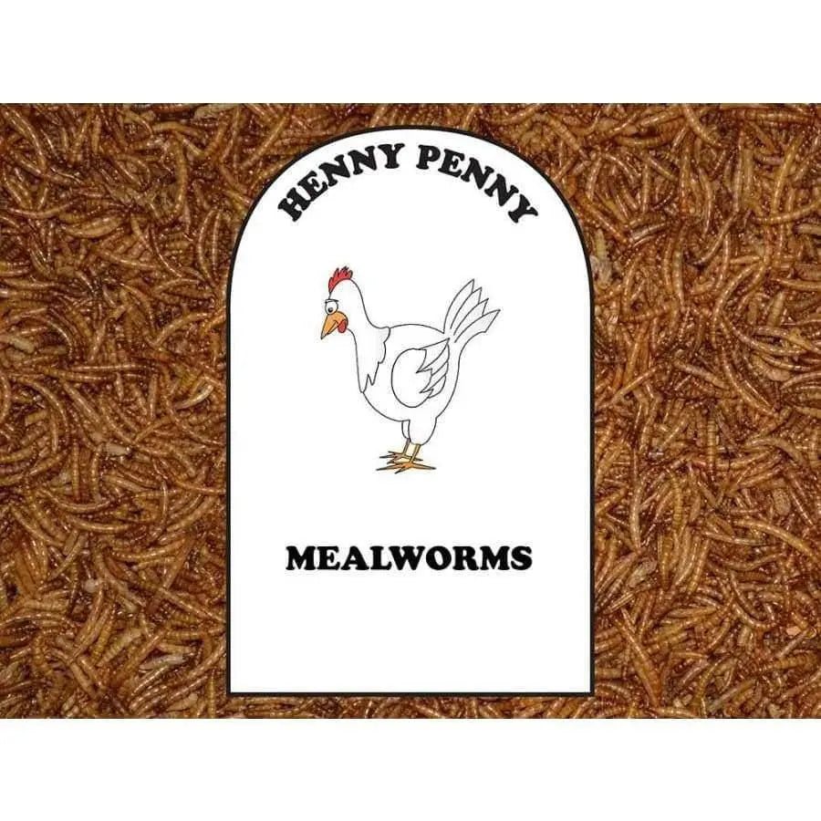 Volkman Seed Co. 1.25 lb Dried Mealworms - Ideal Chicken Food