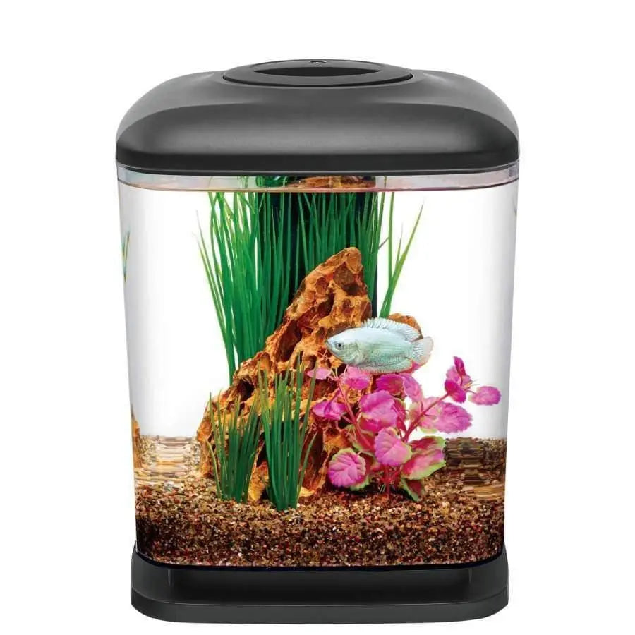 Aqueon 1.6-Gallon Mini Cube Desktop Aquarium Starter Kit with Soft-Touch LED Lighting