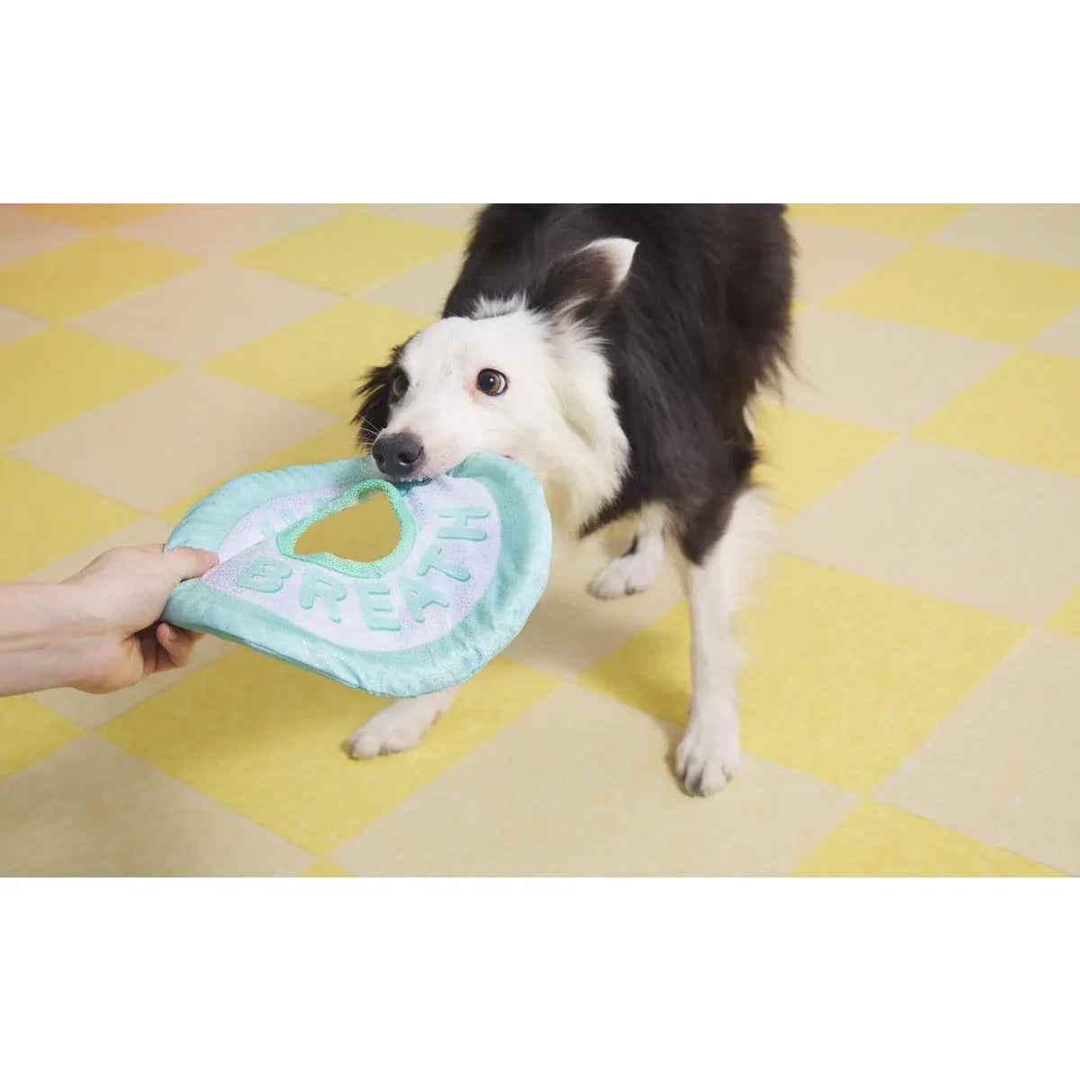 BARK Puppy Fresh Breath Mint - Ideal Dog Toys for Playtime