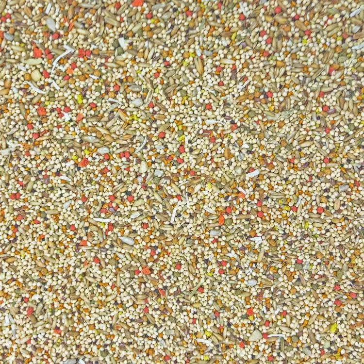 2 Lbs Higgins Gourmet Sunburst Blend Parakeet Food - Nutrient - Rich
