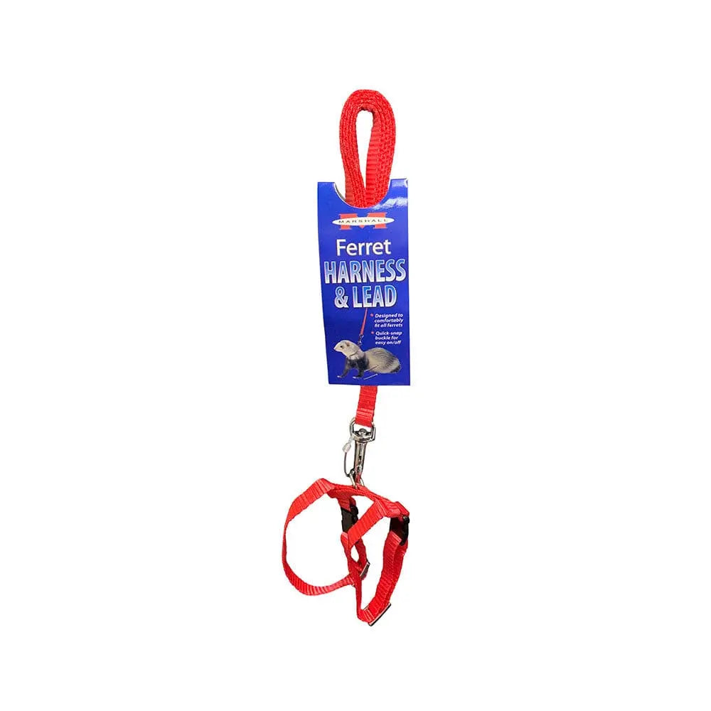 Adjustable Red Marshall® Harness and Lead Set for Ferrets