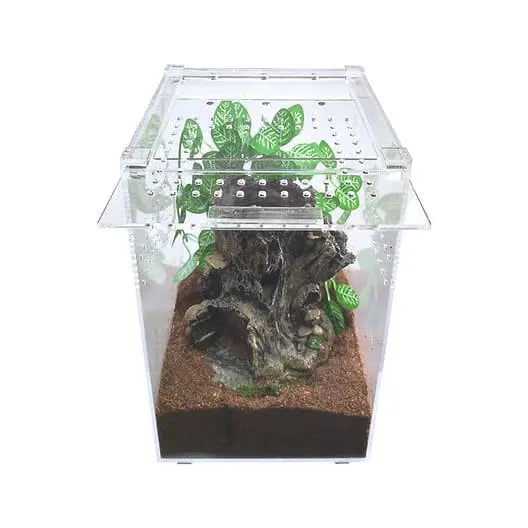 Small and Tall Transparent Acrylic Terrarium Cage for Tarantula and Scorpion Breeding