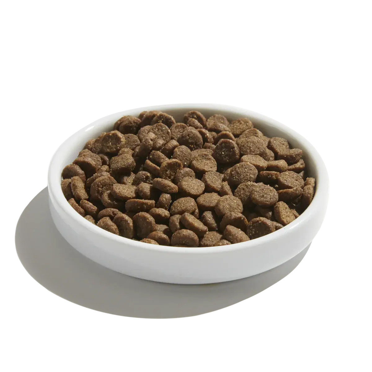 Nacho's Cage - Free Turkey & Pumpkin Dry Cat Food for Digestive Support