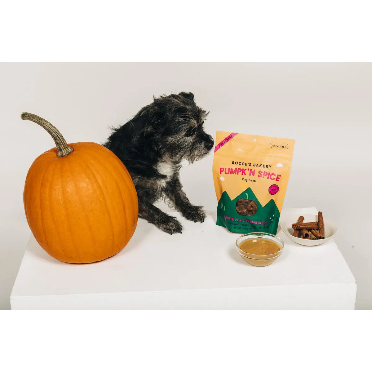 Bocce's Bakery 6oz Soft & Chewy Pumpkin Spice Dog Treats