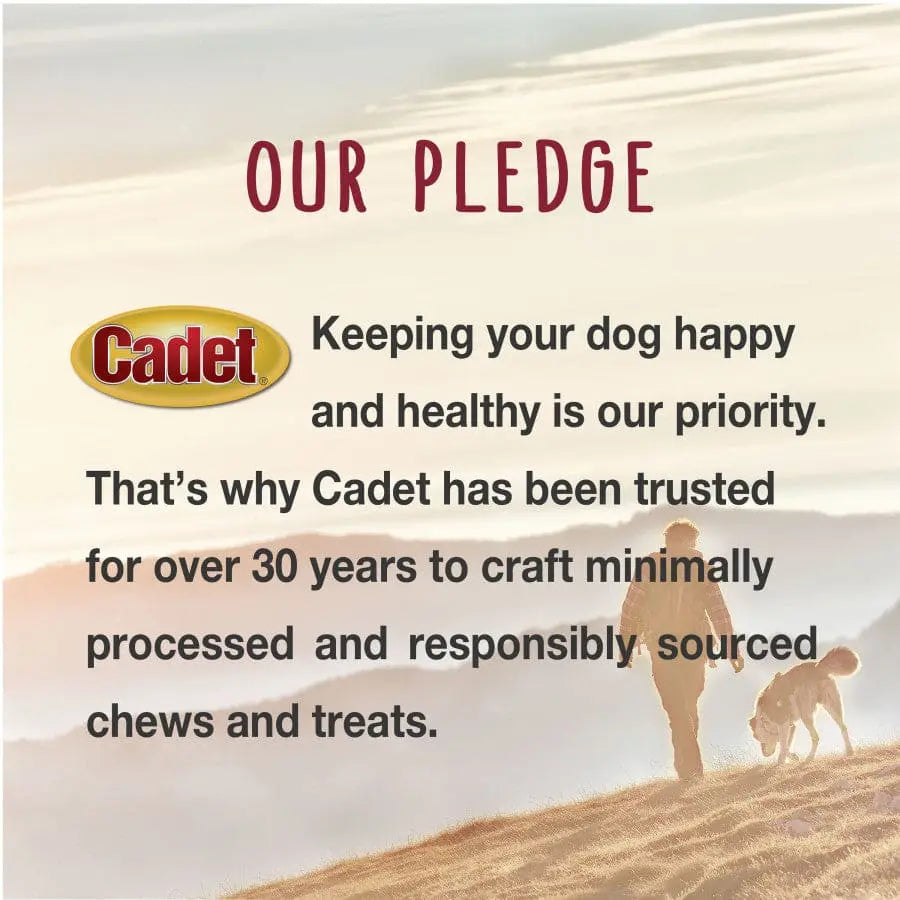 Cadet Premium All - Natural Dog Treats: Bully Sticks for Canine Chewing Pleasure