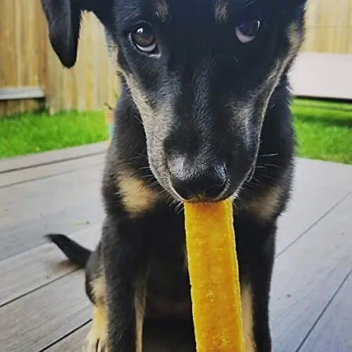 Organic Honey - Infused Yak Milk Chews: A Healthy Dog Treat