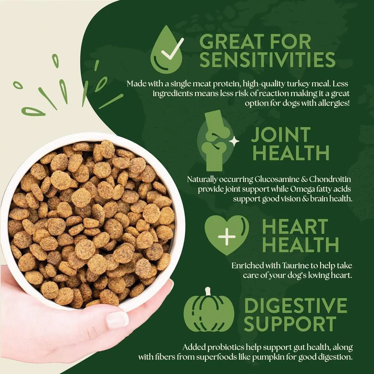 Earthborn Holistic High - Quality Grain - Free Turkey Meal & Pumpkin Dry Dog Food for All Life Stages