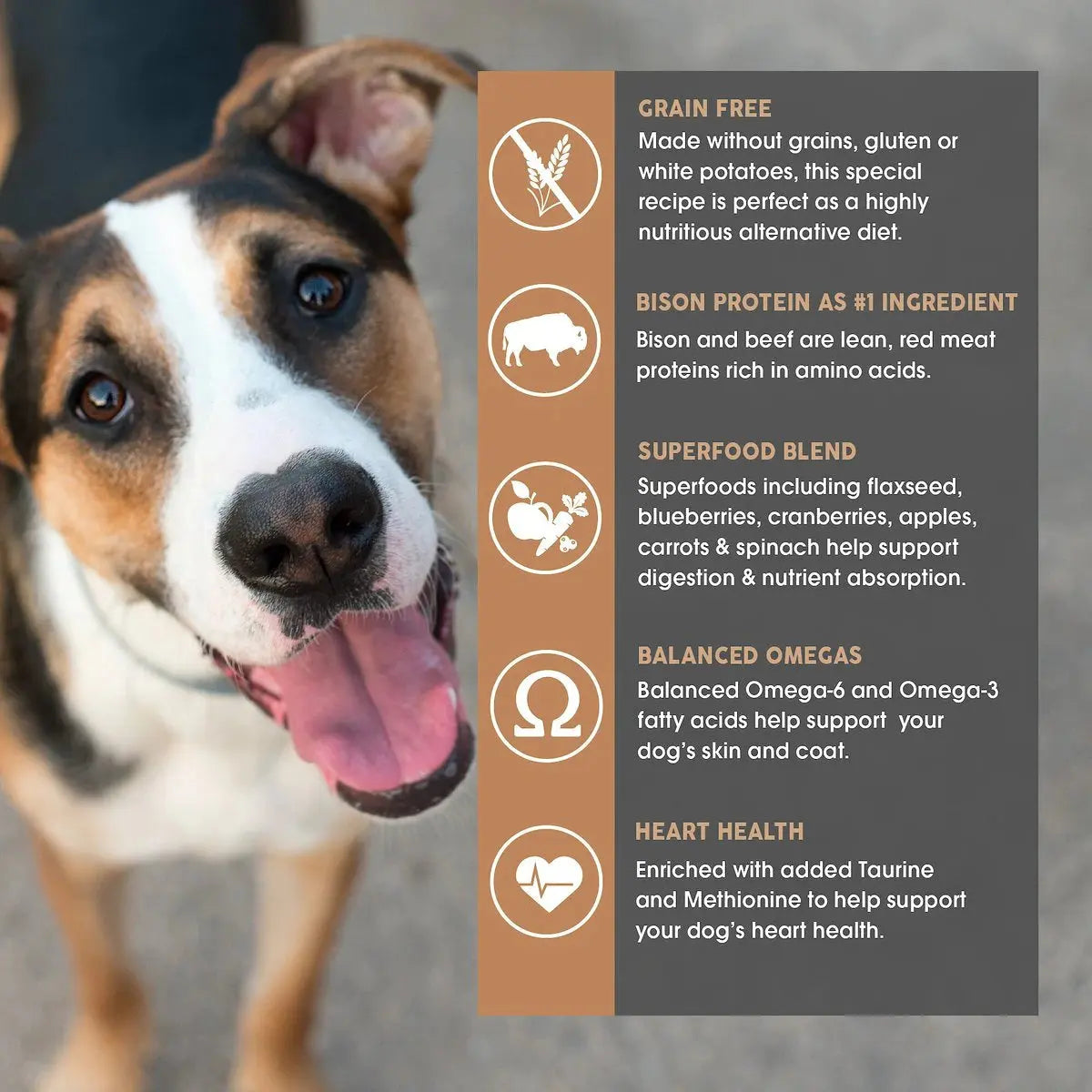 Earthborn Holistic® Grain-Free Premium Dog Food - Great Plains Feast™ with Bison Meal