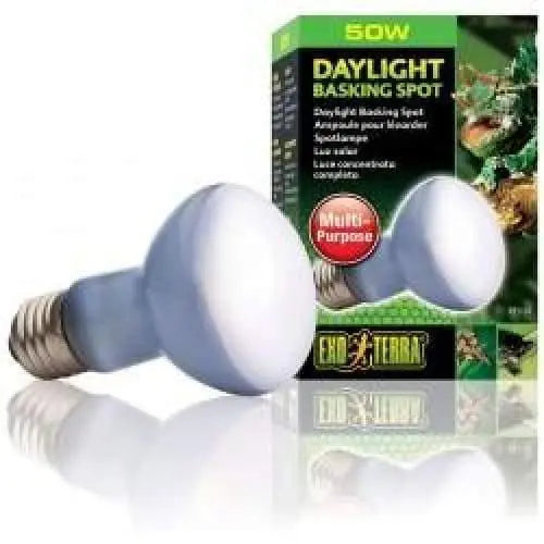 Exo-Terra Neodymium Basking Spot Lamps for Optimal Terrarium Lighting
