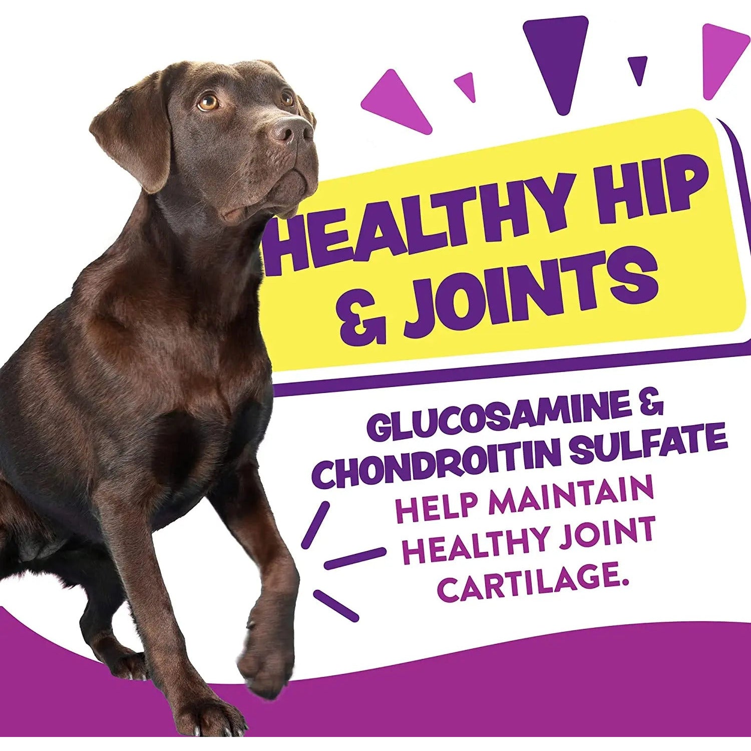 Earthborn Holistic Grain-Free 7.5 oz Turkey Soft Dog Treats for Hip & Joint Health