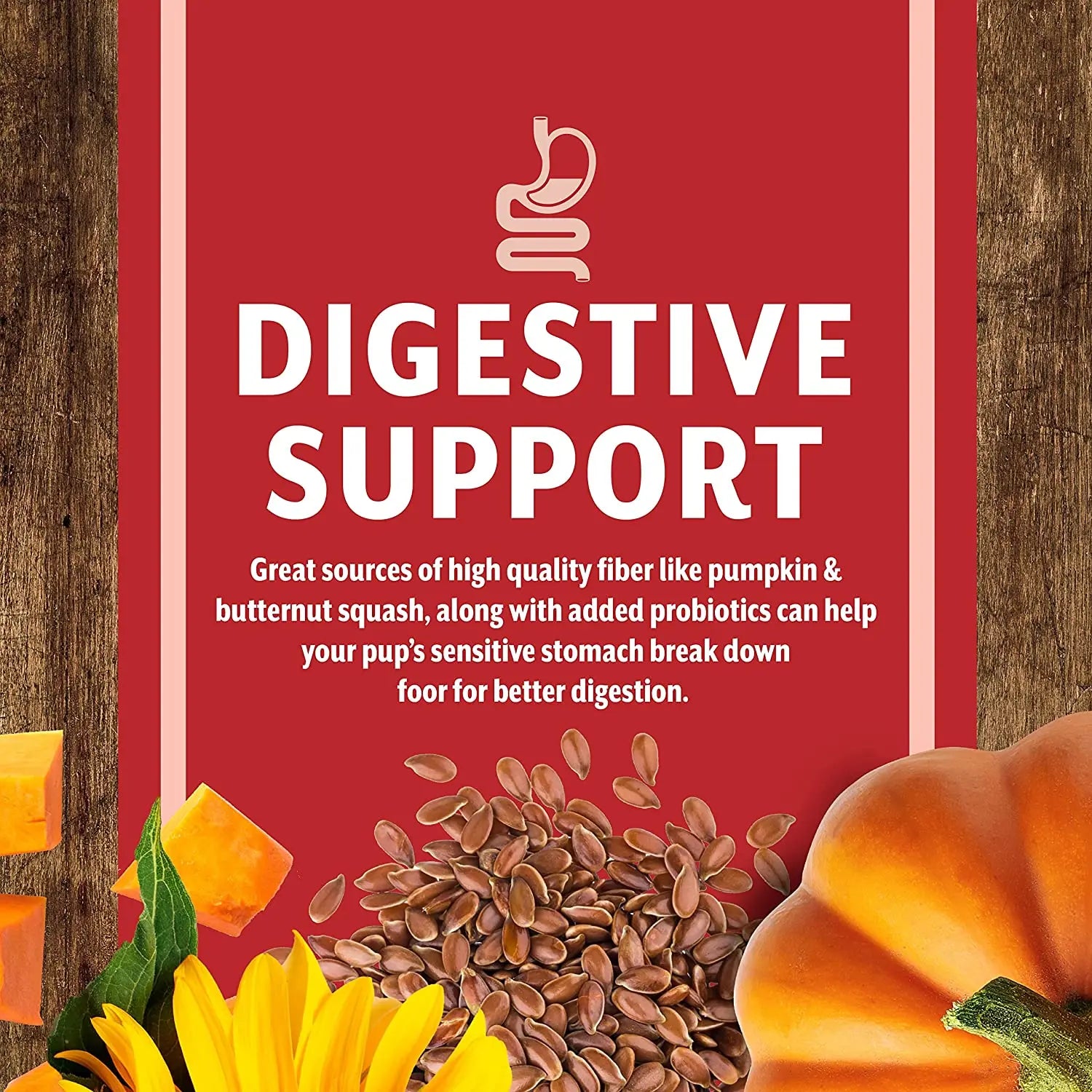 Earthborn Holistic® Venture™ Grain - Free Pork Meal & Butternut Squash Dog Diet