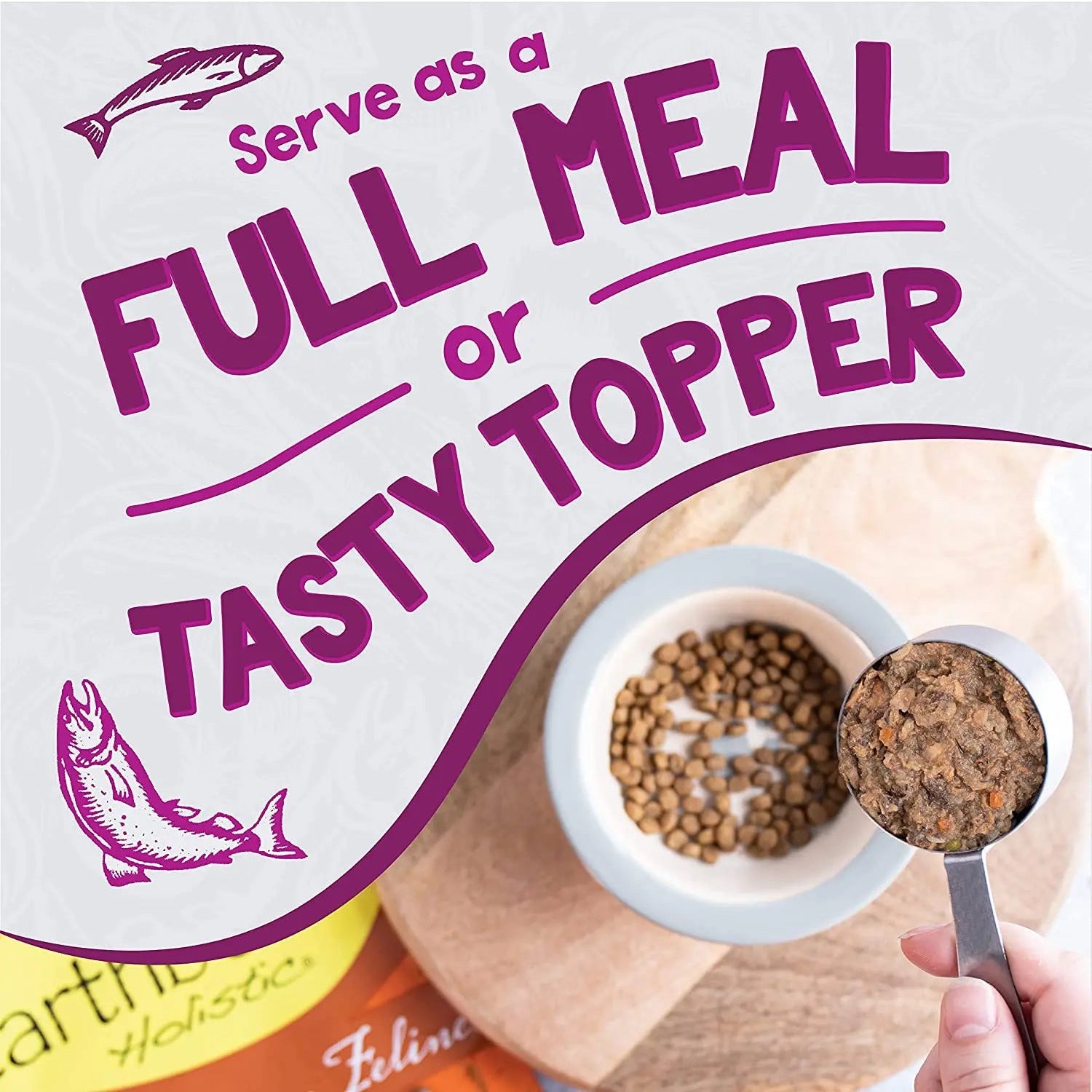 Earthborn Holistic Grain-Free Wet Cat Food: Harbor Harvest with Seafood Delight