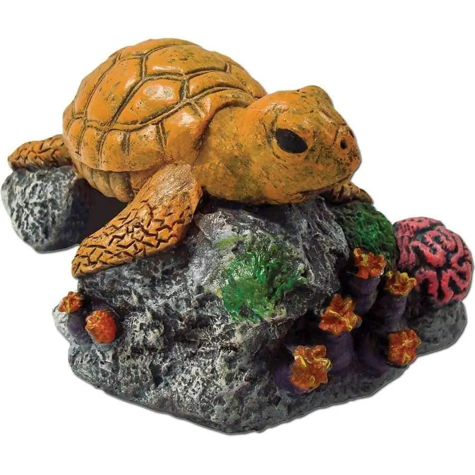 Exquisite Exotic Environments Sea Turtle Decor