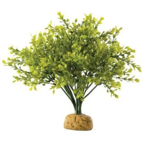 Exo Terra Realistic Boxwood Bush Artificial Terrarium Plant