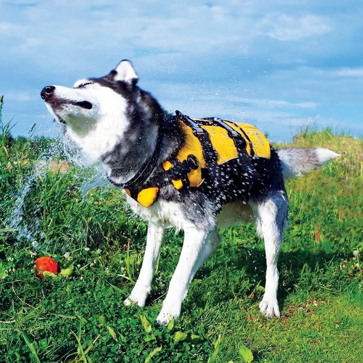 EzyDog Adjustable Dog Life Jacket: High-Performance Floatation Device