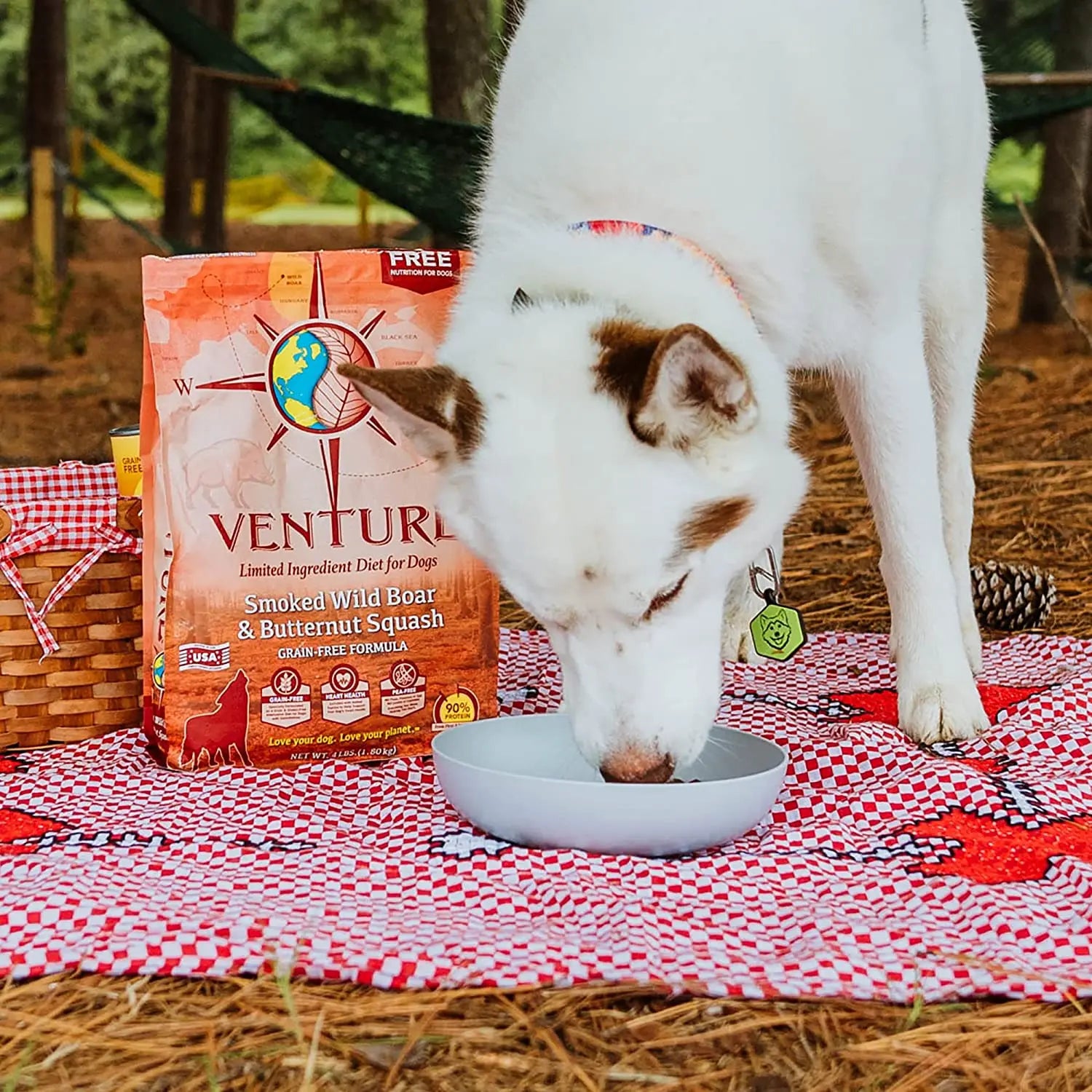 Earthborn Holistic® Venture™ Grain - Free Pork Meal & Butternut Squash Dog Diet