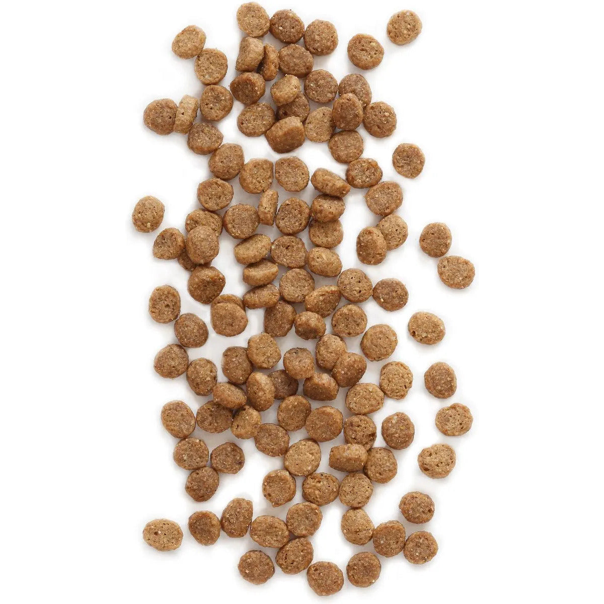 Earthborn Holistic® Feline Vantage™ High - Quality Holistic Cat and Kitten Food