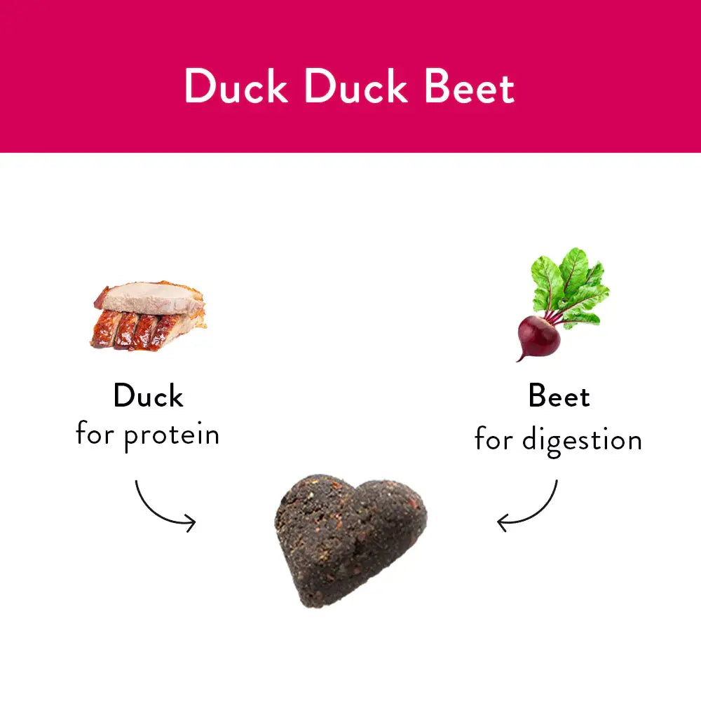 Shameless Pets Soft Baked Gourmet Dog Treats with Delectable Duck and Beet Flavor