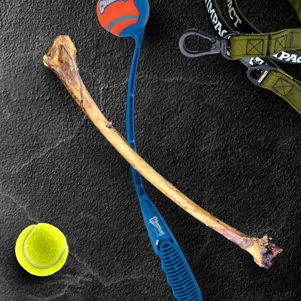 Savannah Long - lasting, Hypoallergenic Ostrich Wing Bone: A Natural Dog Gnaw Treat