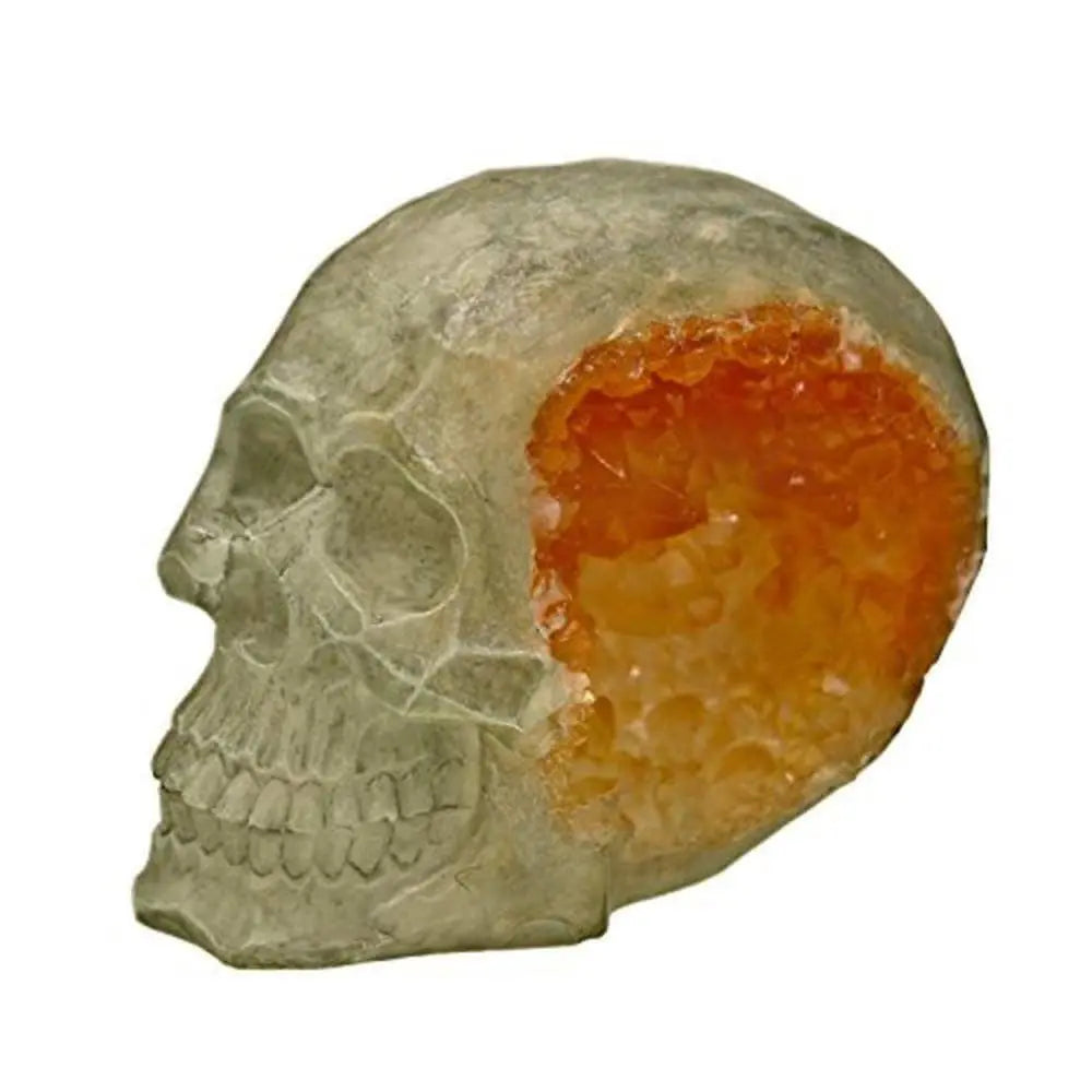 Exotic Skull Geode Stone Ornament for Aquariums and Terrariums