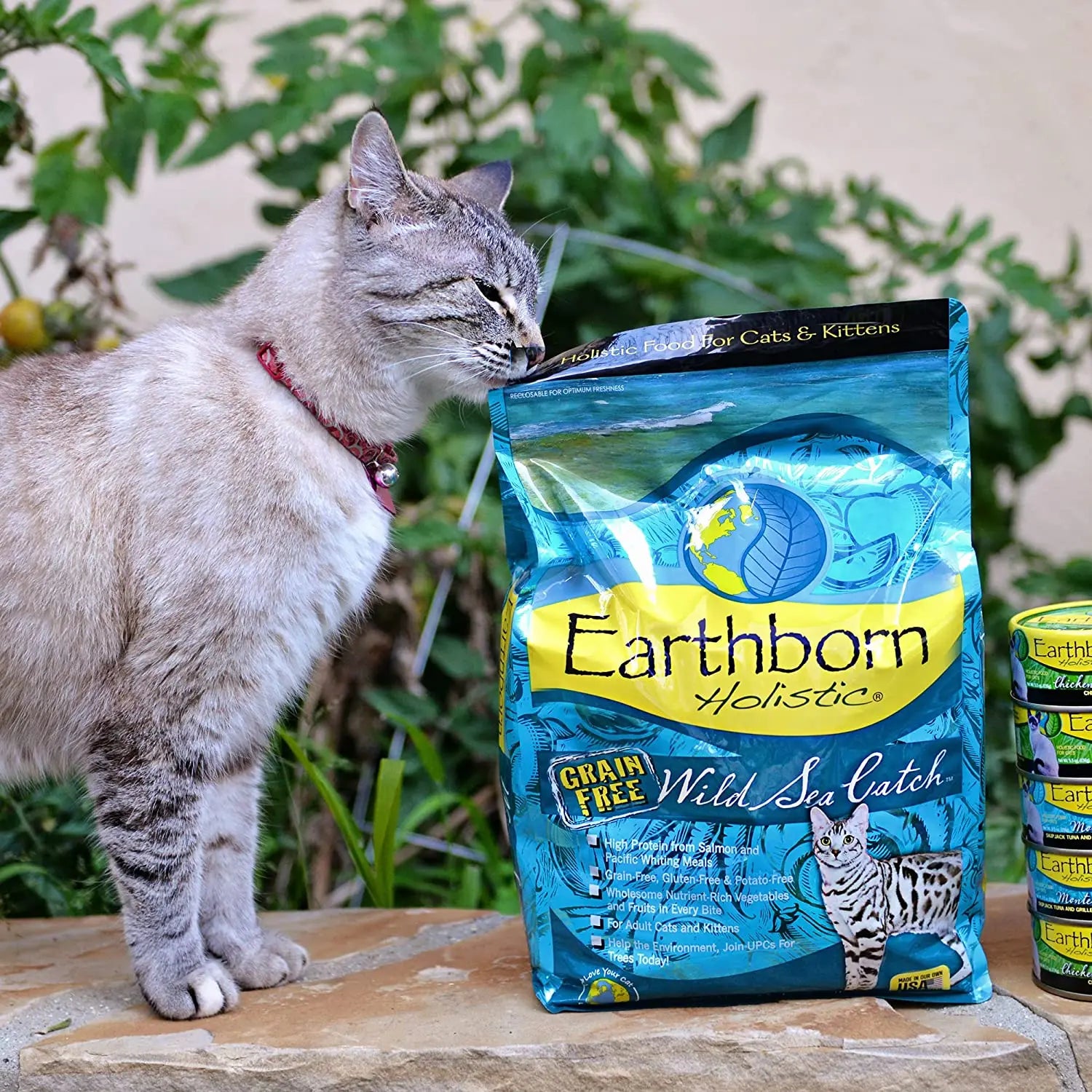 Earthborn Holistic® Grain-Free Cat Food with Wild Sea Catch