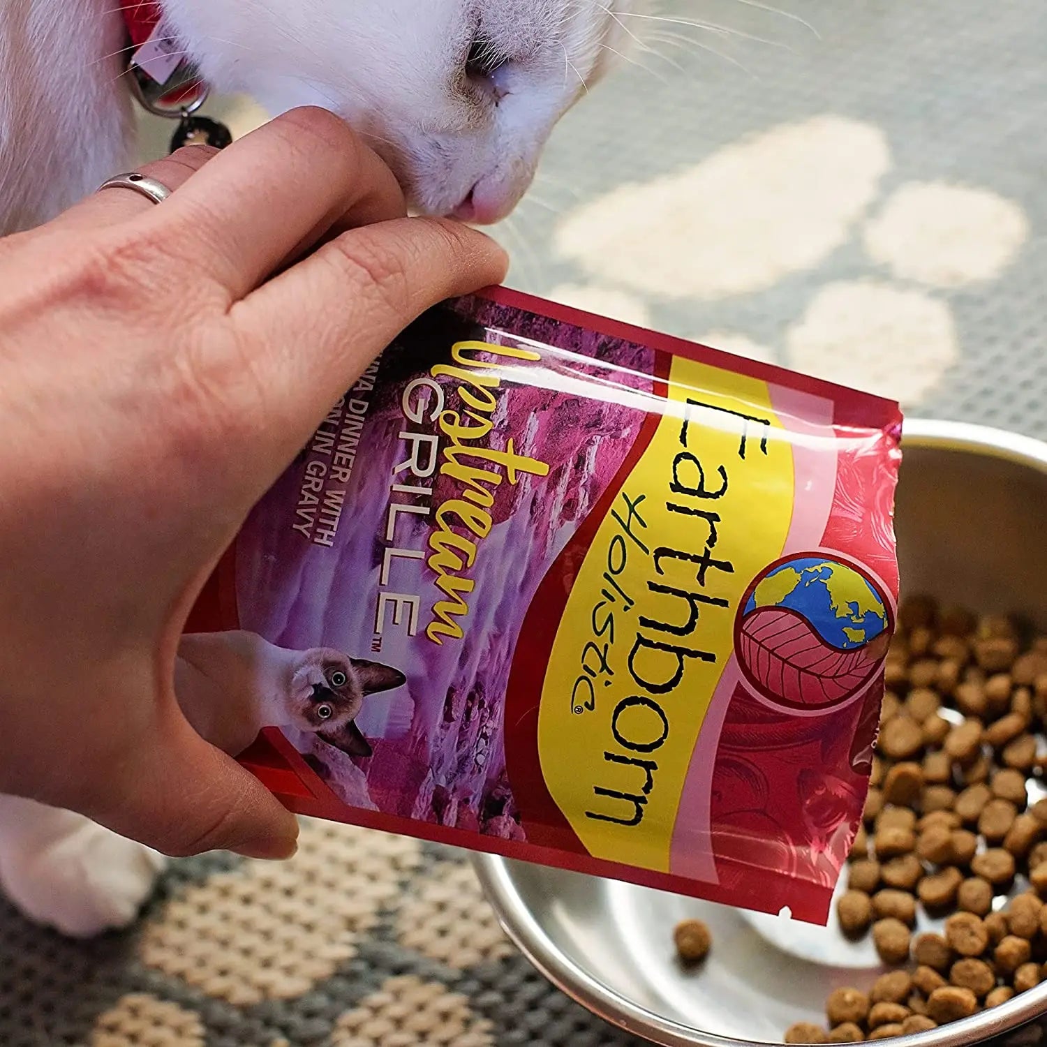 Earthborn Holistic Premium Grain Free Upstream Grill Wet Cat Food Pack of 24 Pouches, Each 3 Ounces
