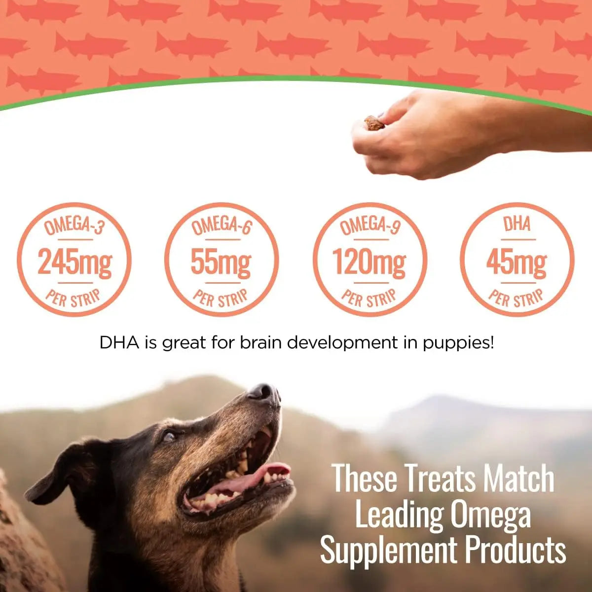 High - Quality Smart Cookie All - Natural Wild - Caught Alaskan Salmon Jerky Treats Specially Designed for Dogs