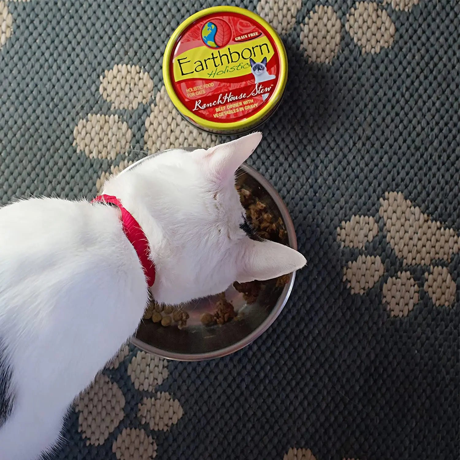 Earthborn Holistic Grain-Free RanchHouse Stew Beef Wet Cat Food, 24 Cans of 5.5 oz