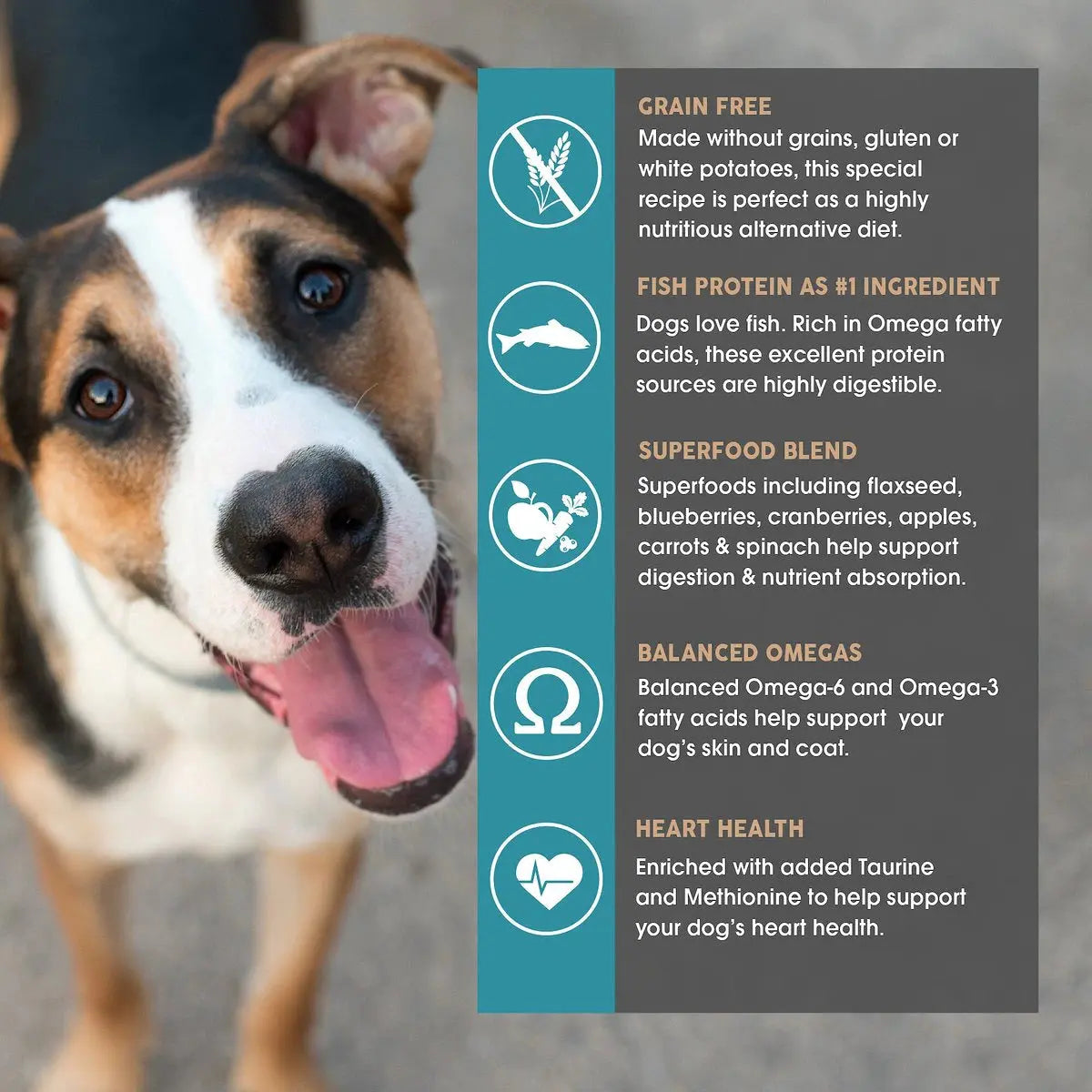 Earthborn Holistic® Grain-Free Coastal Catch™ Premium Dry Dog Food for a Hearty and Healthy Pup