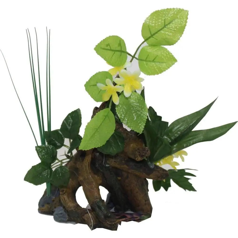 Exquisite Chestnut W-plants for Exotic Aquarium Environments
