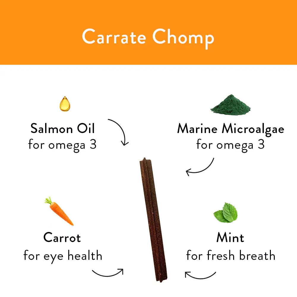 Shameless Pets Delicious Carrot Chomp Dental Dog Treat Sticks