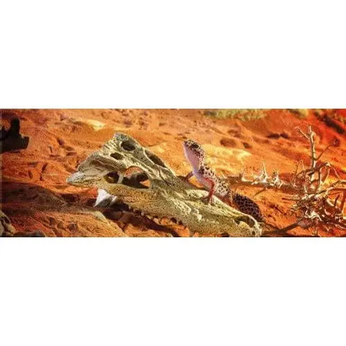 Exo Terra Decorative Crocodile Skull for Terrariums - Realistic Terrarium Ornament