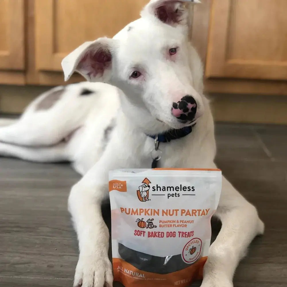 Shameless Pets Soft Baked Pumpkin Nut Party Dog Treats